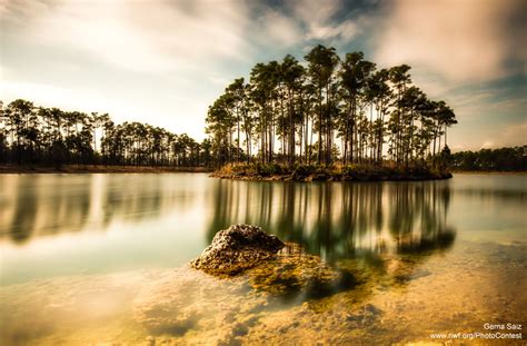 Everglades National Park Archives - The National Wildlife Federation Blog