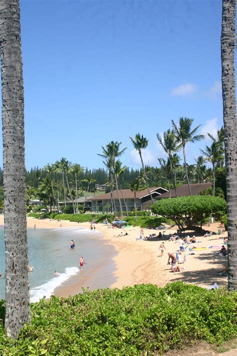 Napili Bay | Maui Guidebook