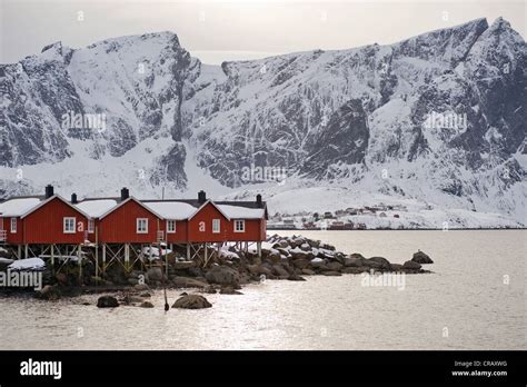 Rorbuer, traditional wooden cabins, Reine, Island of Moskenesøya, Lofoten Islands, North Norway ...