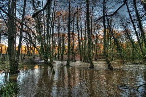 Forest of Dean Map - Gloucestershire, England - Mapcarta