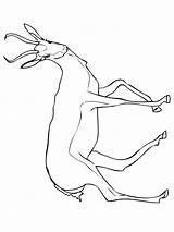 Springbok Antelope coloring page sketch template