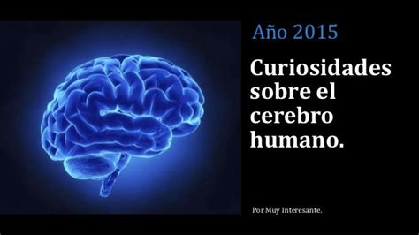 Curiosidades sobre el cerebro Humano.