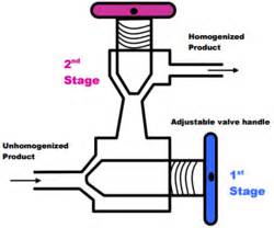 Milk Homogenization - HORIBA