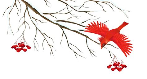 Free Winter Branch Cliparts, Download Free Winter Branch Cliparts png images, Free ClipArts on ...