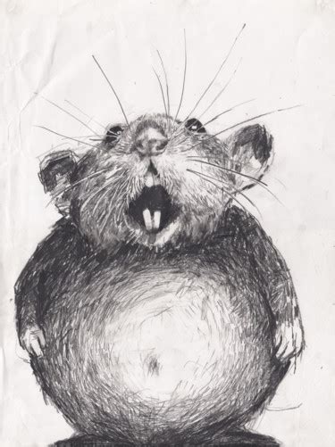 Pencil Drawing Of Rat