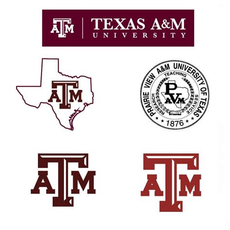 Texas A And M Logo Vector at Vectorified.com | Collection of Texas A ...