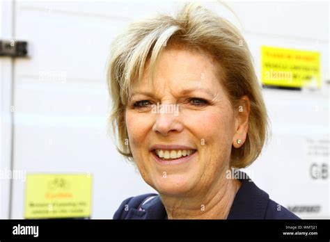 Anna soubry independent group hi-res stock photography and images - Alamy