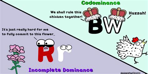 Incomplete Dominance vs. Codominance - SCIENCE WITH THE AMOEBA SISTERS