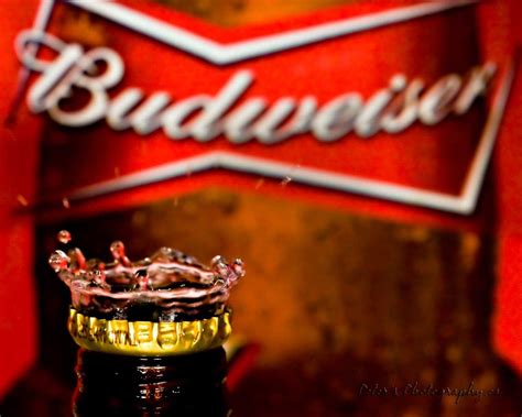 Budweiser Wallpaper | Budweiser, Beer wallpaper, Beer logo