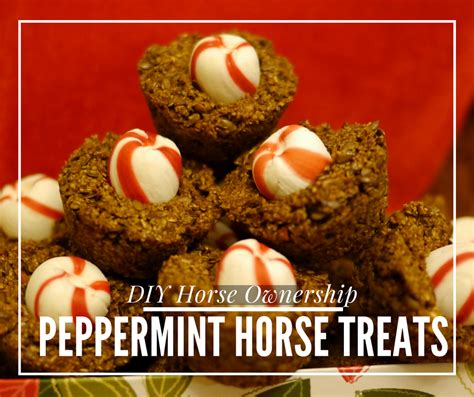 Peppermint Treats – DIY Horse Ownership