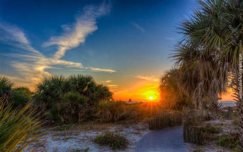 Sand Key Park Sunset | Fine Art Tampa Bay, Florida Landscape from Sunrise to Sunset, Nature and ...