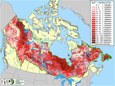 Soil Organic Carbon | Boreal Songbird Initiative