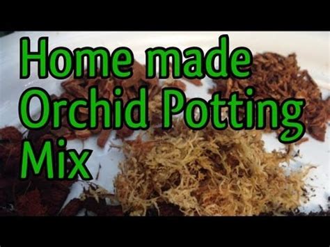 My Home made orchid potting mixes. Orchid Potting mix to repot various kinds of Orchids - YouTube