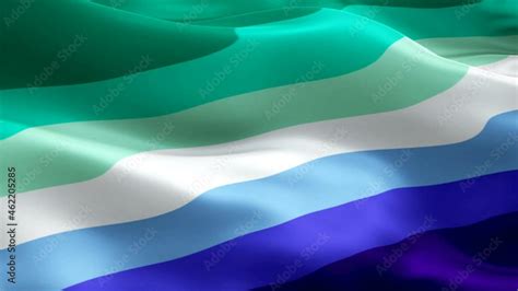 Rainbow MLM Pride Flag video waving in wind. Realistic Vincian Flag background. Rainbow gay men ...