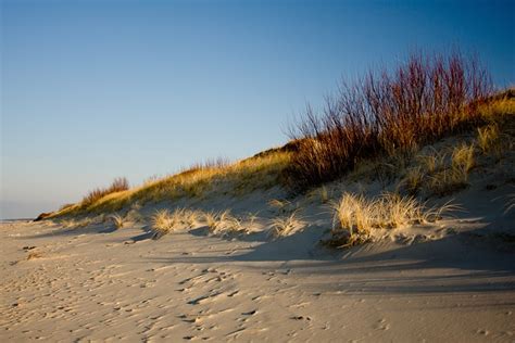 Curonian Spit Beach Dune - Free photo on Pixabay - Pixabay