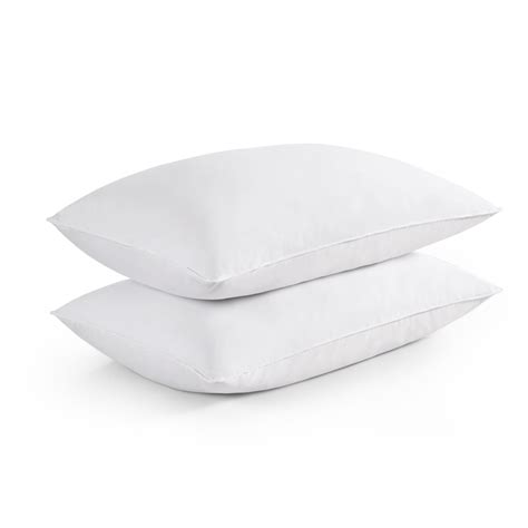 Soft Filled 2 Pack Goose Feather Pillow - Walmart.com