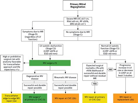 Mitral Regurgitation Surgery Guidelines