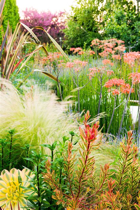 24 Surprising Plant Combos - Sunset Magazine