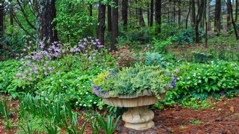 Huntsville Botanical Garden – Gardens Visitor
