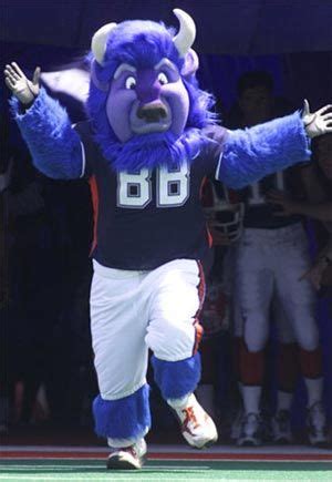 NFL Mascots - Football Mascots | Buffalo bills memes, Buffalo bills ...