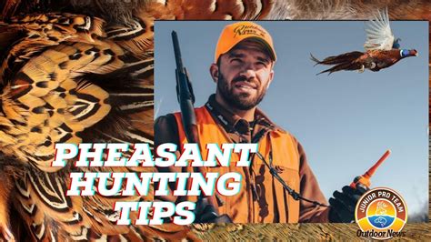 Pheasant Hunting Tips - YouTube