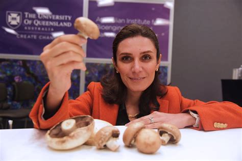 Biodegradable bags to revolutionise mushroom farming - Australian Institute for Bioengineering ...