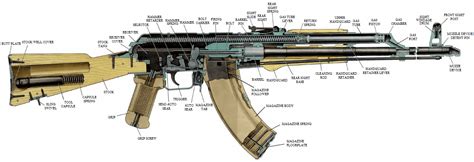 Differences Between AK-47, AK-74, AKM, AK-101, and AK-12