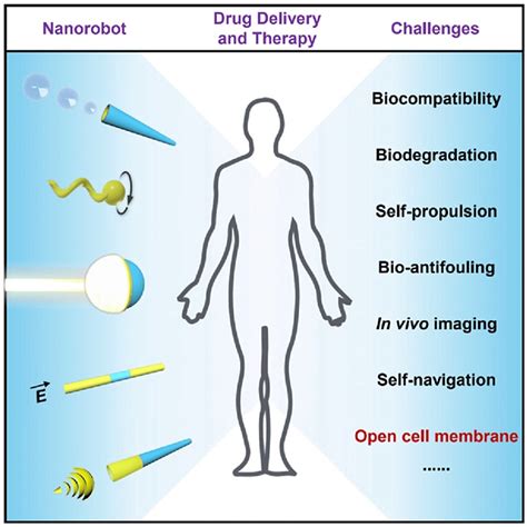 The Use of Nanorobotics in the Treatment Therapy of Cancer and Its Future Aspects: A Review | Cureus