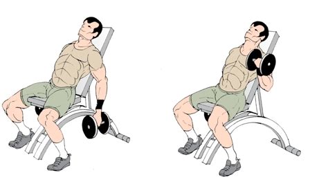 Incline Dumbbell Curls Exercise to build bigger biceps