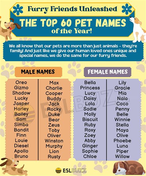 Cute and Creative Pet Names to Learn and Love - ESLBUZZ