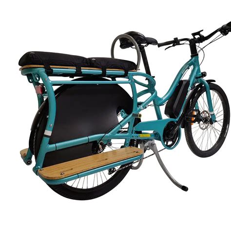 Best Affordable Electric Cargo Bike - In-Depth Review - Bike Lovy