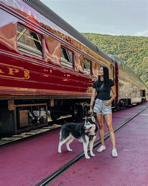 All Aboard the Dog-Friendly Jim Thorpe Train Ride Adventure