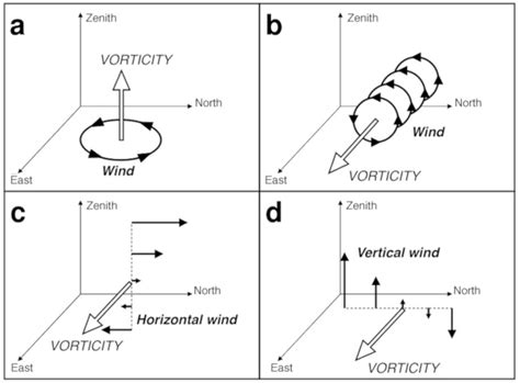 Wind and vorticity vectors - Encyclopedia of the Environment