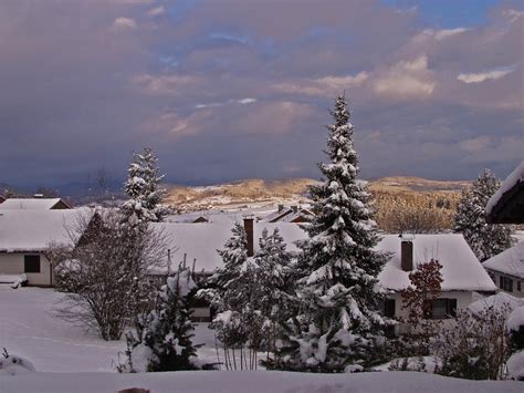 Bavarian Forest Landscape Winter - Free photo on Pixabay - Pixabay