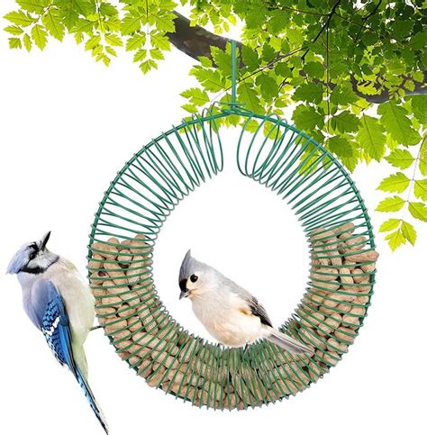 The Best Blue Jay Bird Feeders for Peanuts - Birds and Blooms