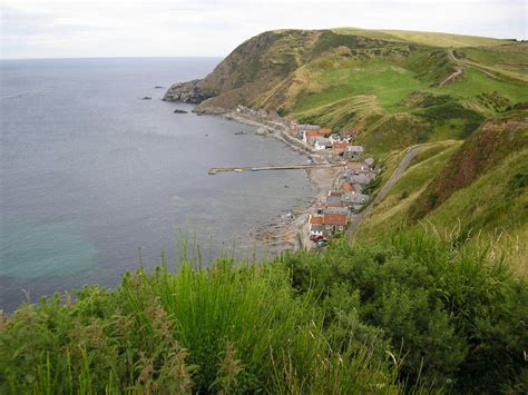 Crovie