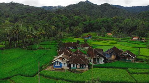 Wirausahawan Sukses Dari Jawa Tengah - Delinewstv