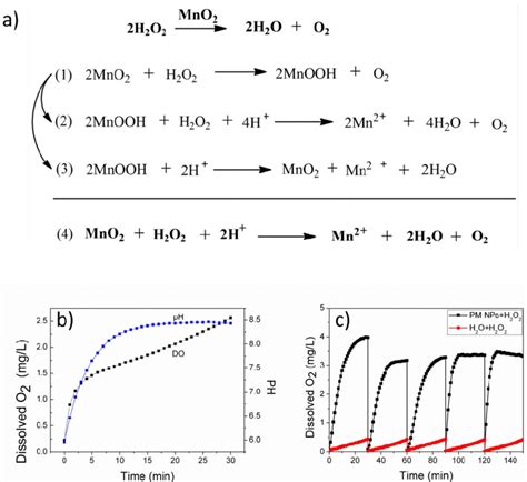 Balanced Equation For Hydrogen Peroxide And Manganese Dioxide ...