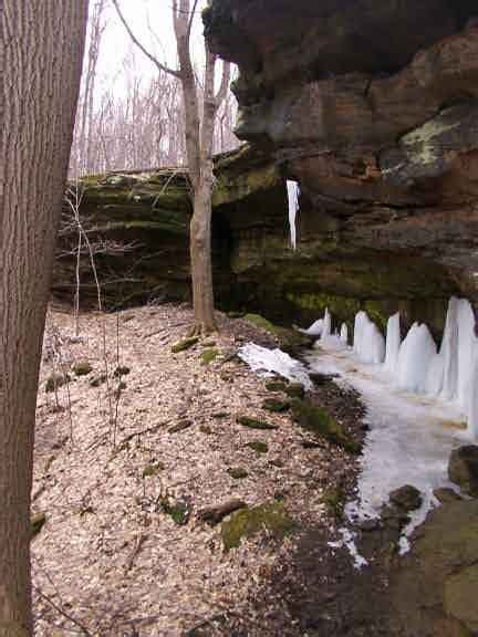 Brecksville Reservation Cleveland Metropark Hiking Trail Pictures Movie