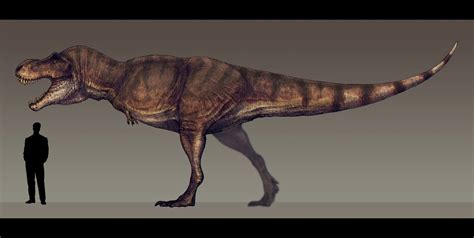 Tyrannosaurus rex by Paleocolour on DeviantArt | Tyrannosaurus rex, Tyrannosaurus, Ancient animals