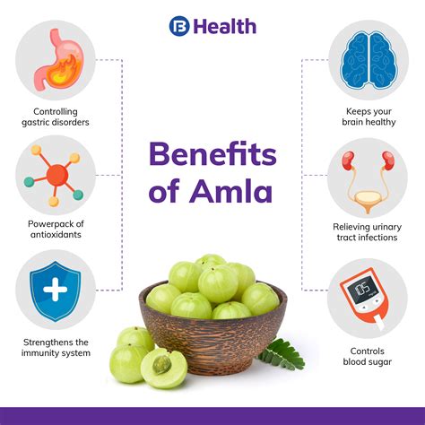 Amla (Gooseberry): Benefits, Nutritional Value, Side Effects