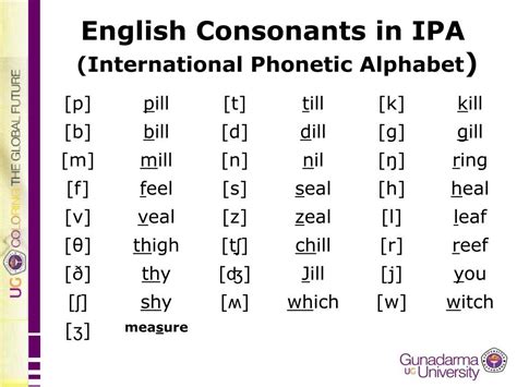 Ipa Phonetic Symbols English - BELAJAR IPA BERSAMA