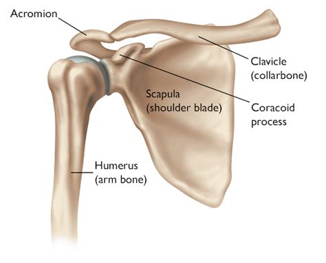 Physical Therapy for Shoulder Pain - Symmetry Physical Therapy