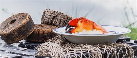 Stone Crab Recipes – George Stone Crab