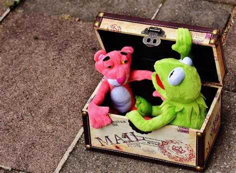 Plush Toys Kermit The Pink Panther - Free photo on Pixabay