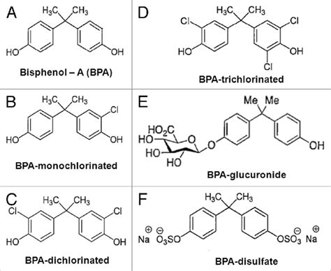 Structure of BPA, its variably chlorinated versions, and BPA phase II... | Download Scientific ...