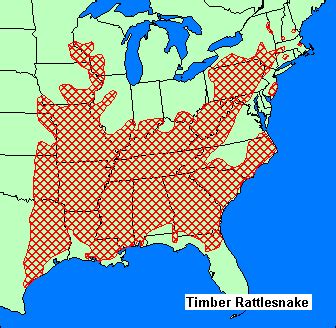 Timber Rattlesnake - NYS Dept. of Environmental Conservation