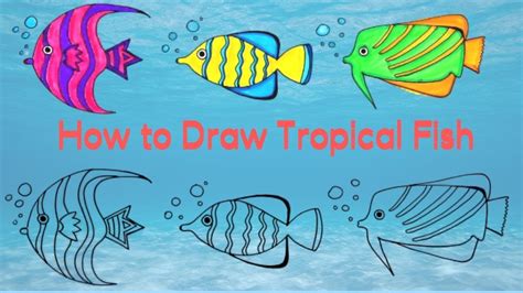 How To Draw A Small Fish Easy - Draw easy