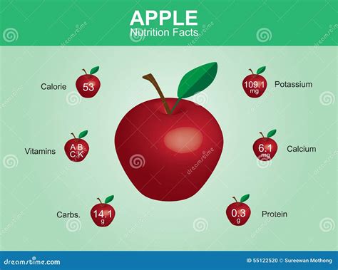 Apple Nutrition Facts, Apple Fruit With Information, Apple Vector Stock ...