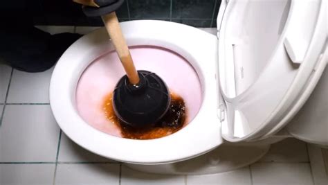 What to Do if Poop Is Stuck in Toilet: 6 Methods [DIY]